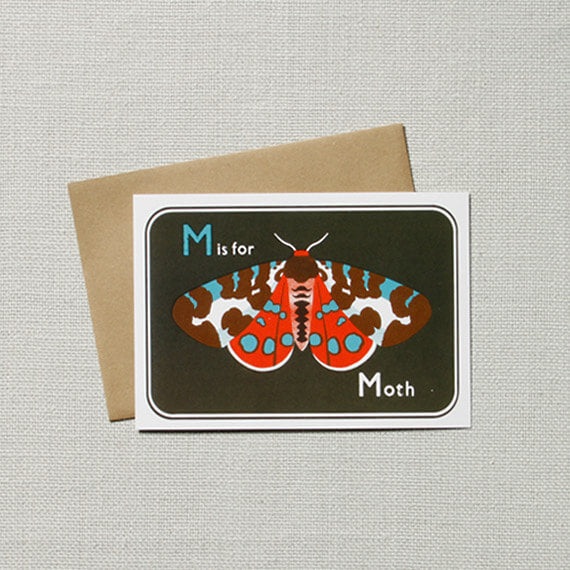 Moth