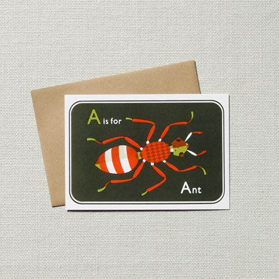 Ant