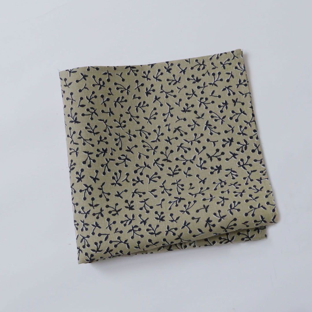 カレ・スリーズ