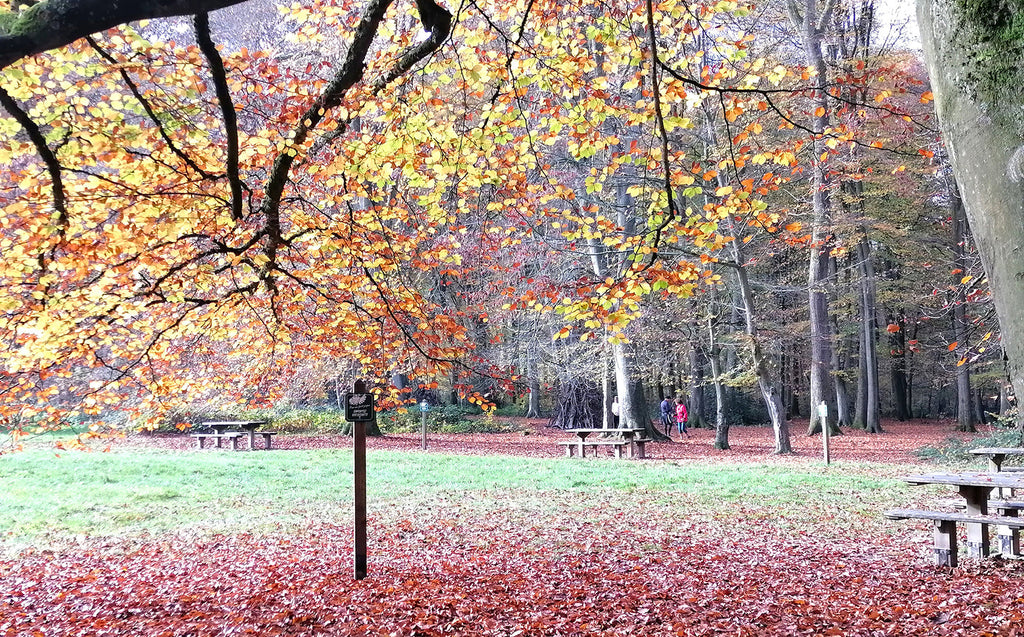 ENYOのアトリエだより