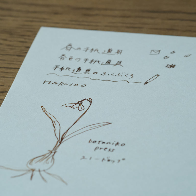 余白もうつくしい、未草の便せんと封筒