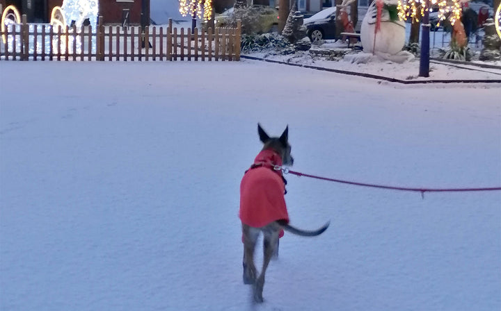 エンベロープオンラインショップ] – Envelope - エンベロープ