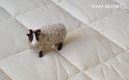 暑い時季にもおすすめのウールベッドパッド