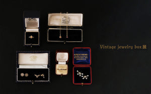 Vintage jewelry box 展