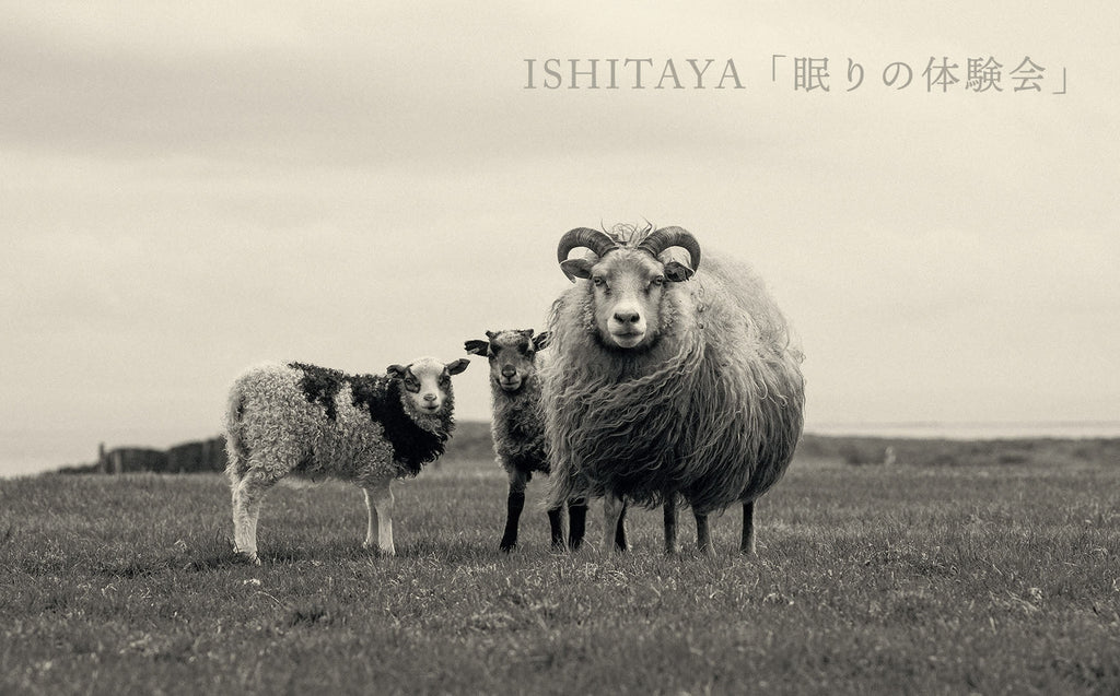 リネンバード北浜／ISHITAYA 眠りの体験会
