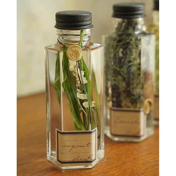 植物標本ボタニカルボトル（S） 3本セット