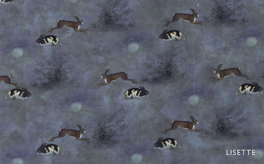 Lapin la nuit