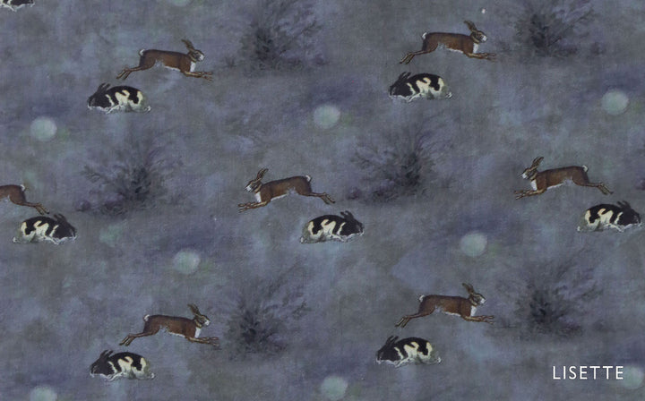 Lapin la nuit