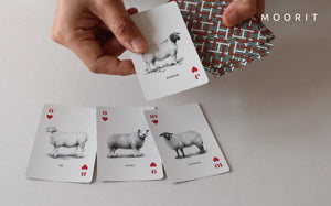 SHEEP PLAYING CARDS（羊のトランプ）