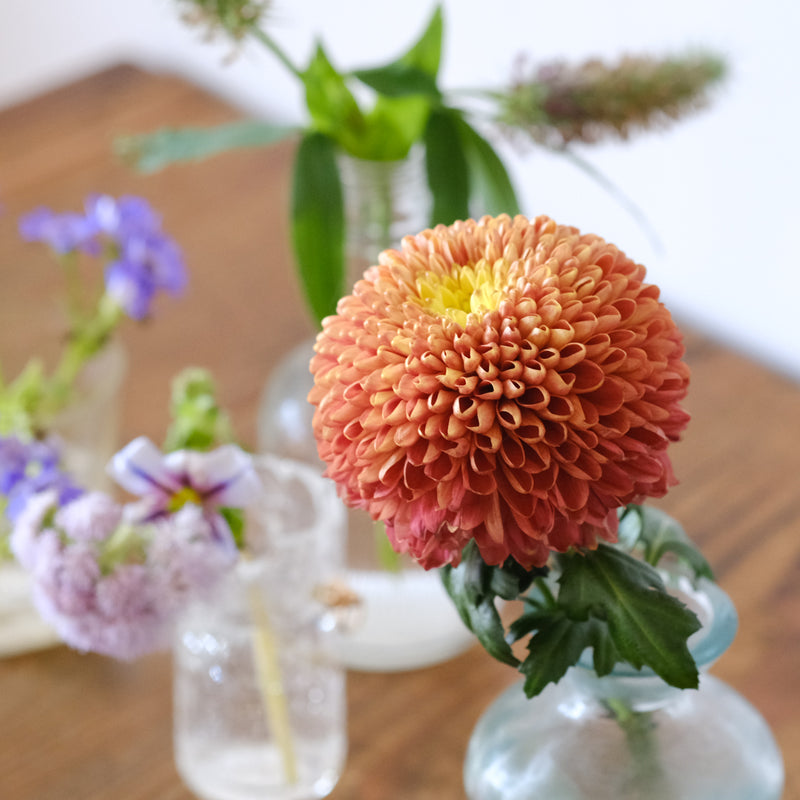 お花便、届いて3週間後