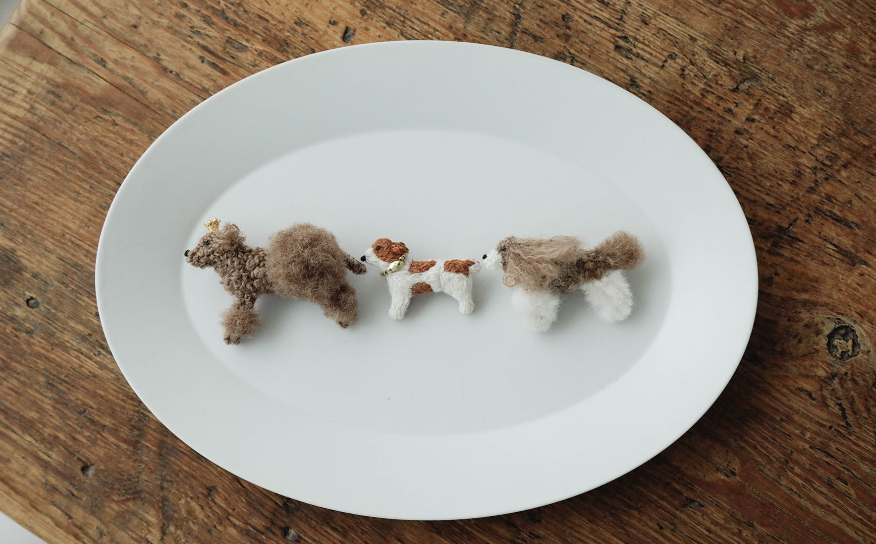 BOZZOLO Dogs
