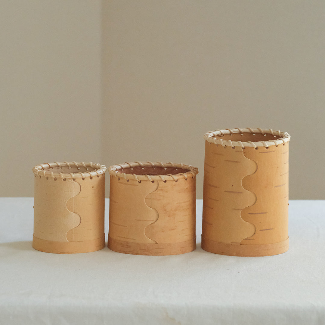 動物たちの集まる切り株のような、やさしいお道具立て – Envelope