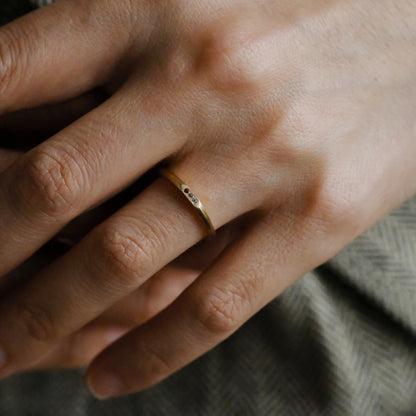 【受注商品】［cobaco］Birthstone Ring_signet