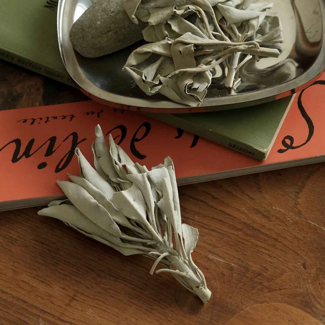 ［G:Land］Deep Cleanse White Sage