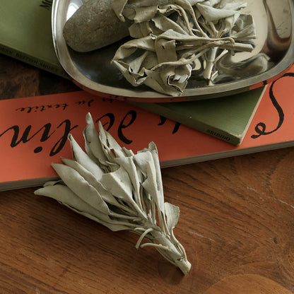 ［G:Land］Deep Cleanse White Sage