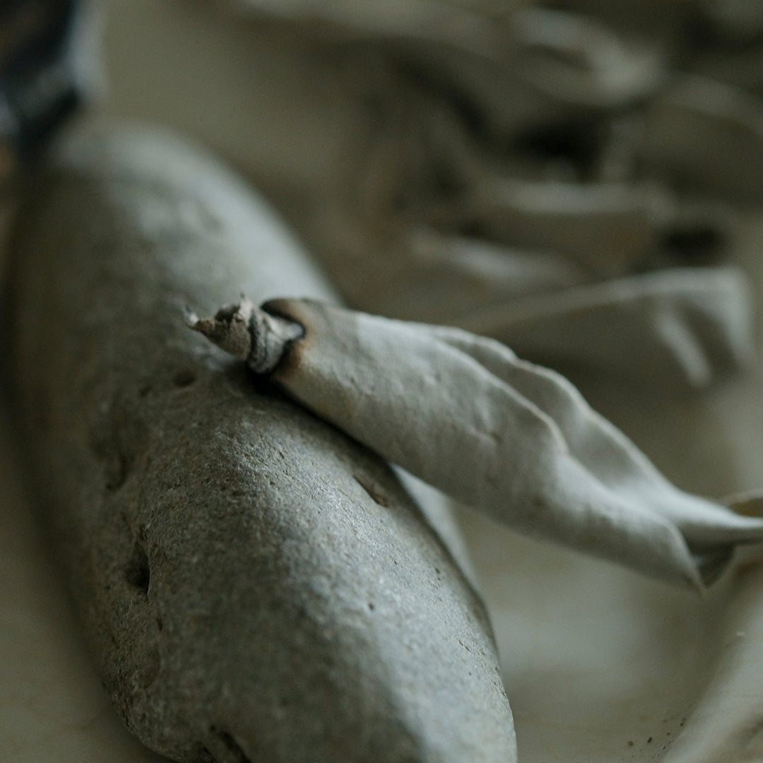 ［G:Land］Deep Cleanse White Sage