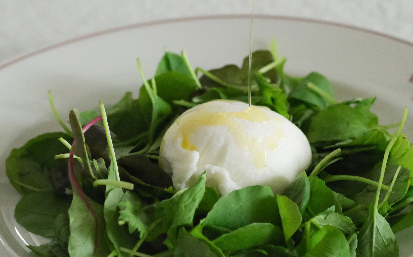 【生産者直送便】［LIFE］クリスマスの集いのためのミールキット／ハンバーグセット