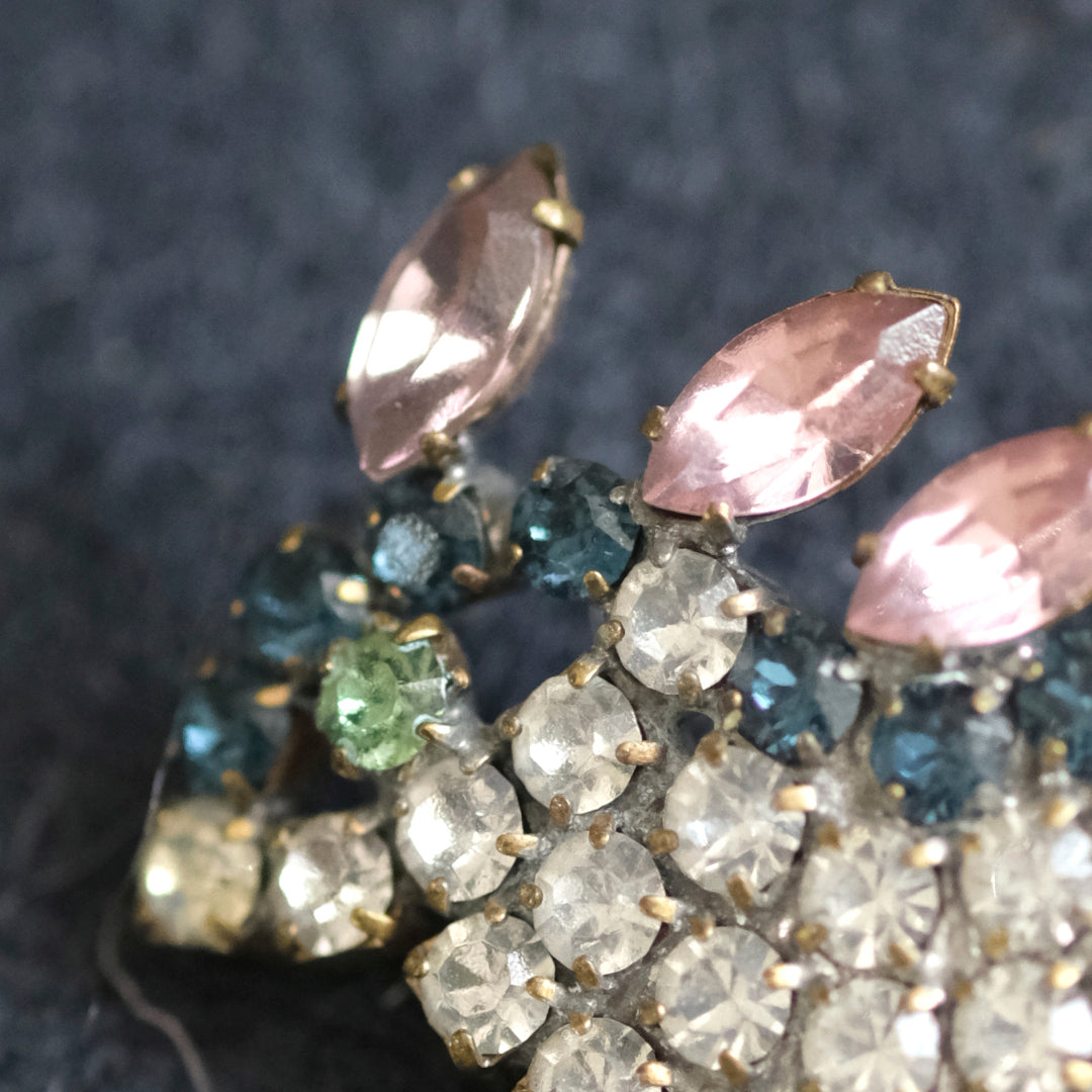 標本箱とブローチのセット