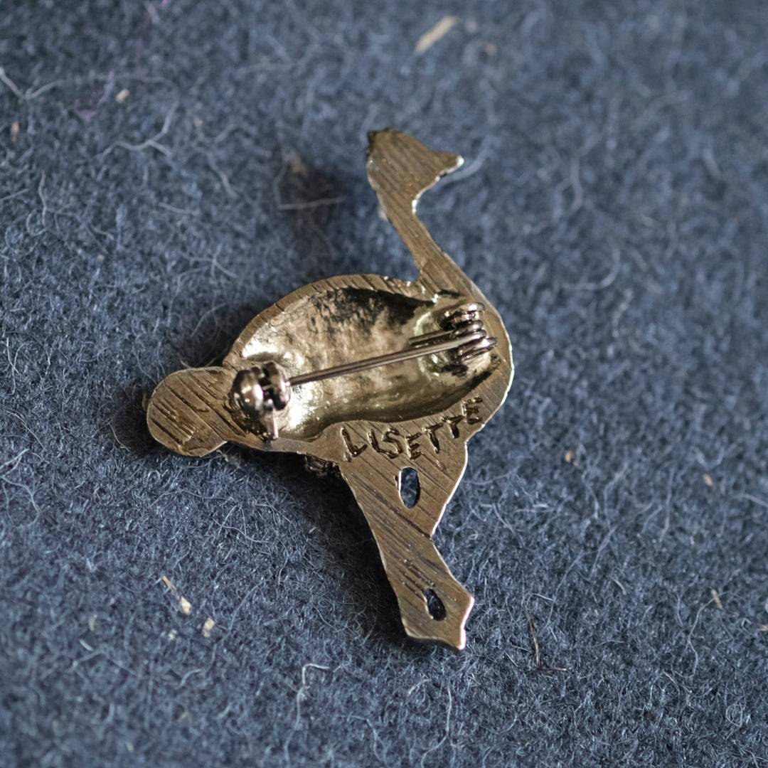 標本箱とブローチのセット