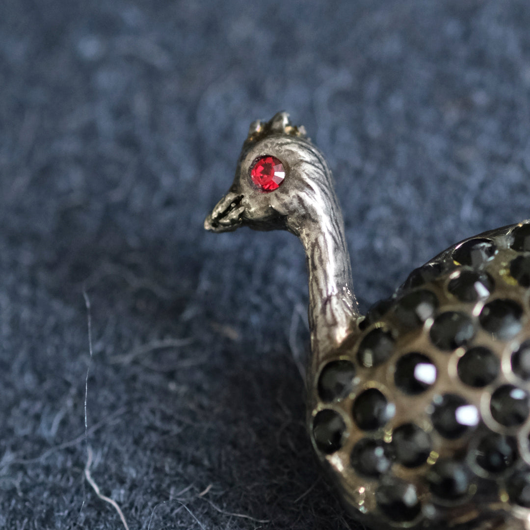 標本箱とブローチのセット