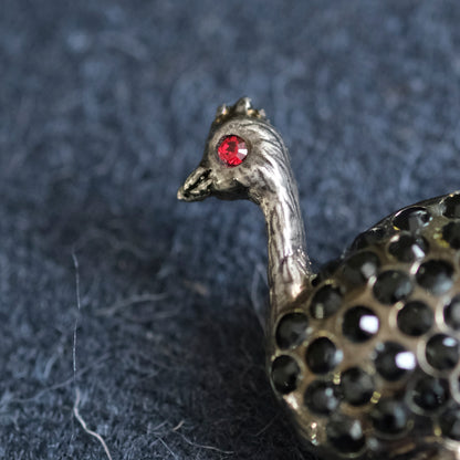 標本箱とブローチのセット