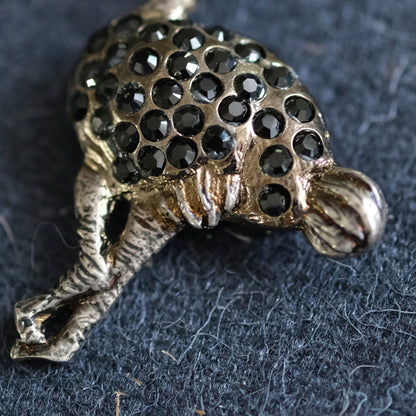 標本箱とブローチのセット