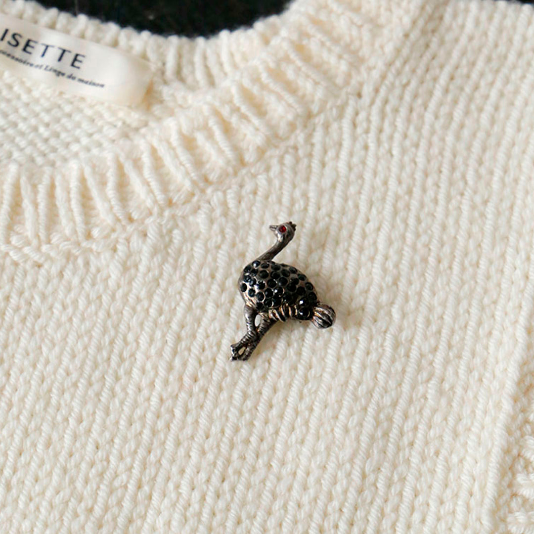 標本箱とブローチのセット