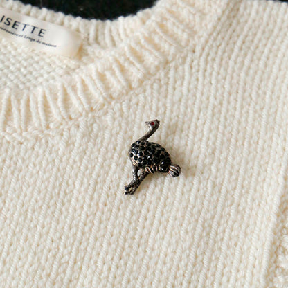 標本箱とブローチのセット