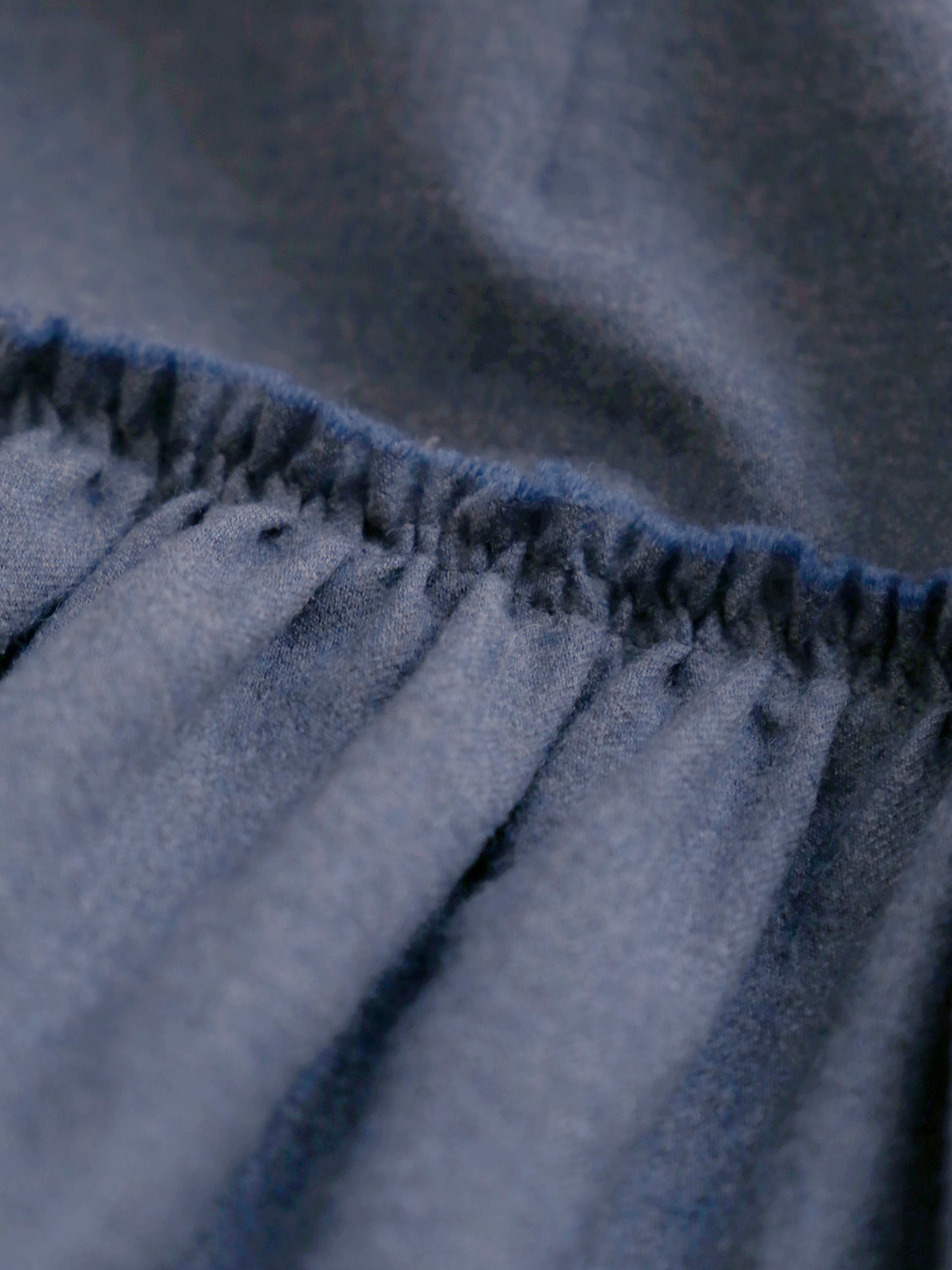 プードルブルー