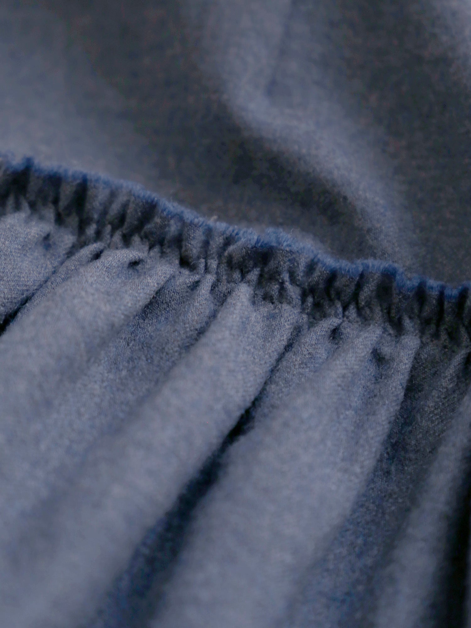 プードルブルー