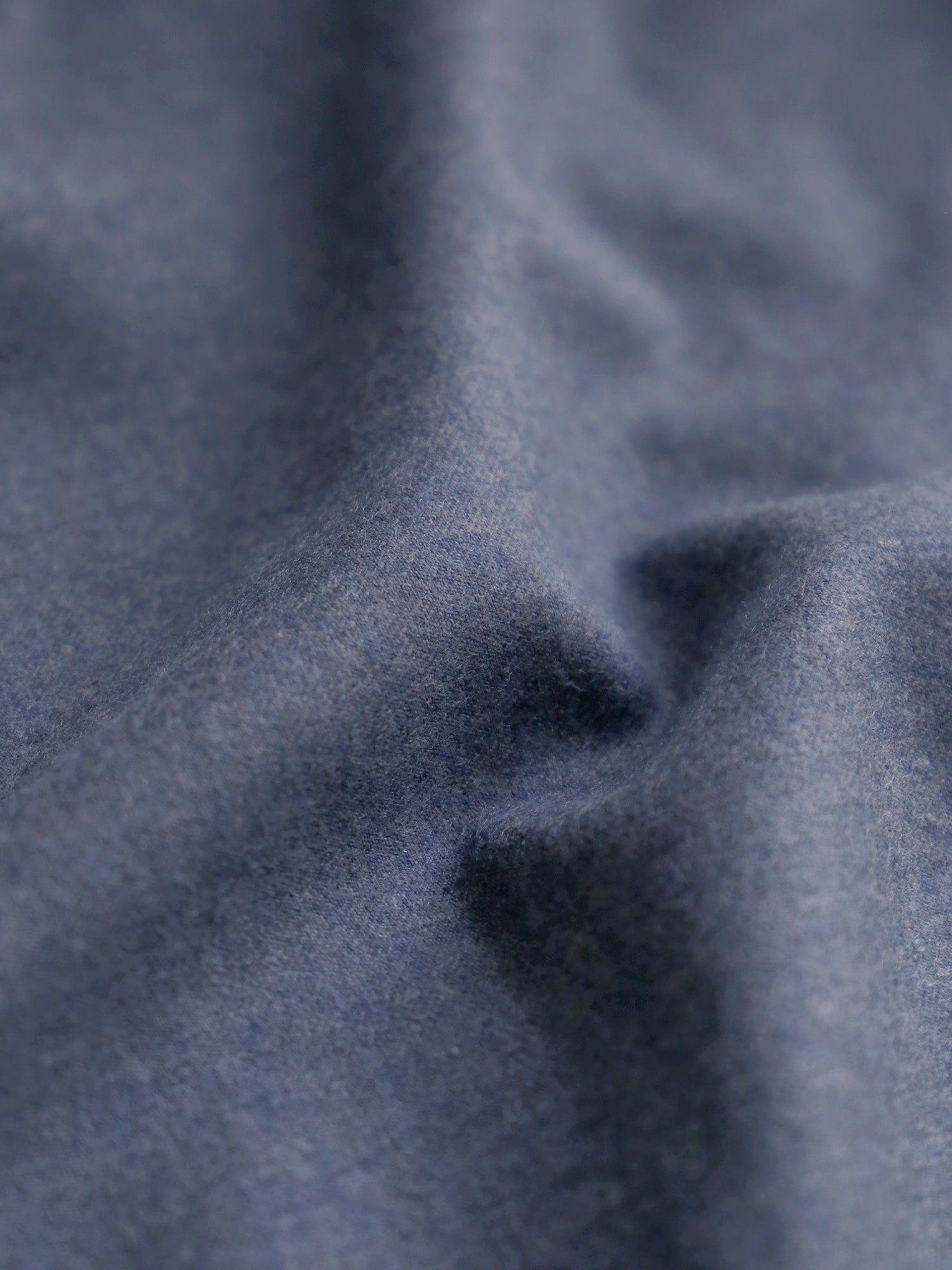 プードルブルー