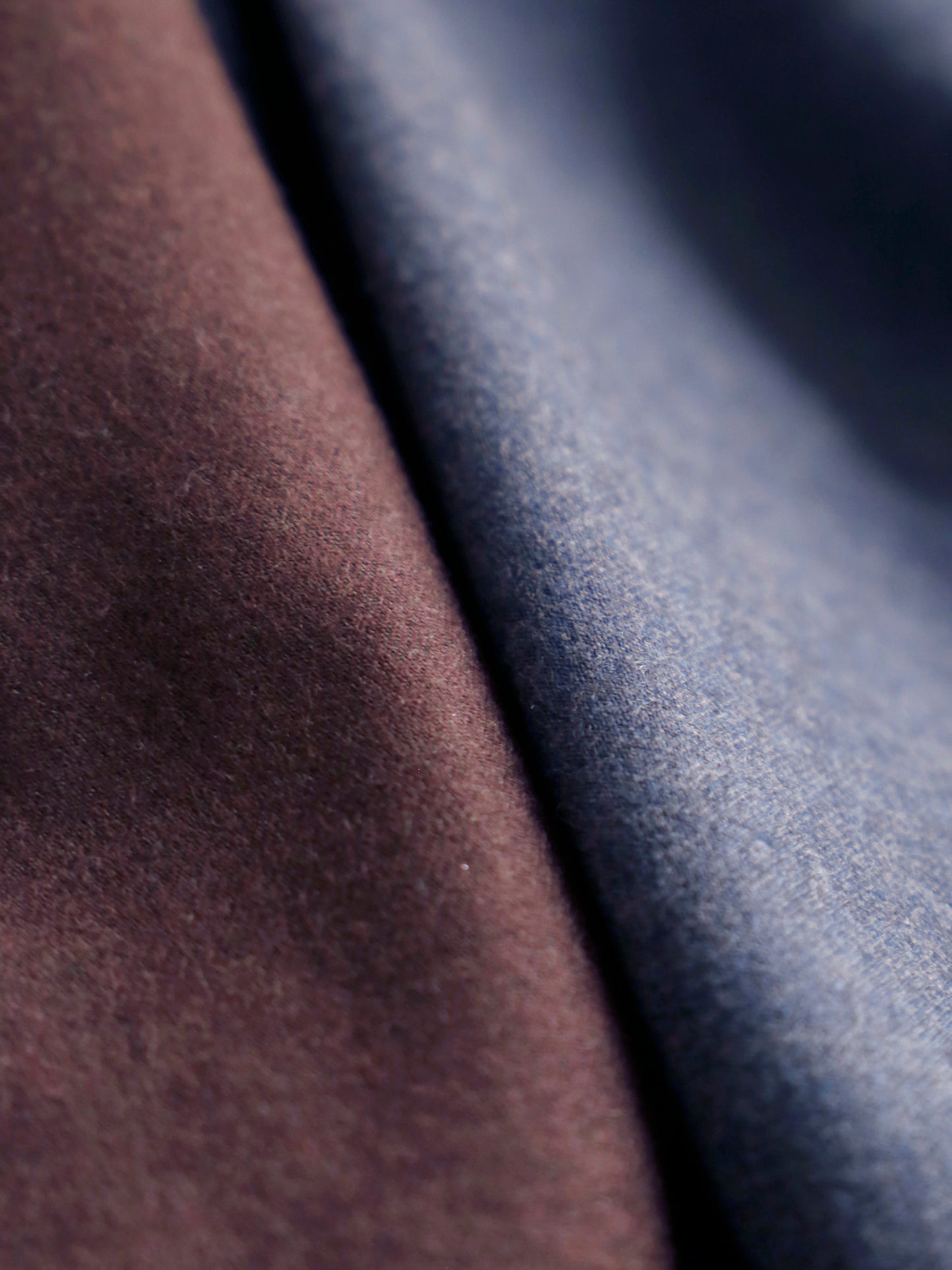 左：プリュヌ　右：プードルブルー