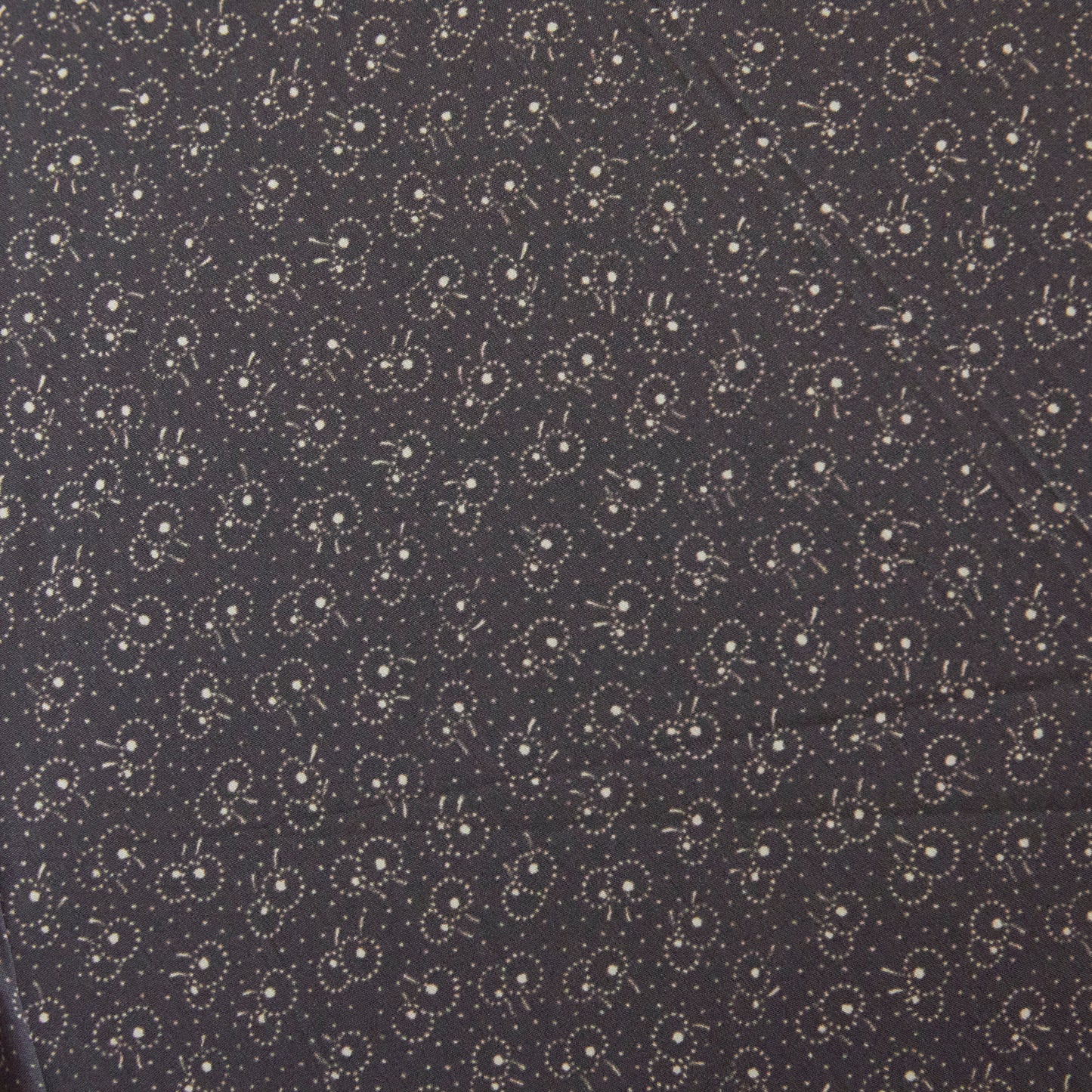 ロベルタ / プラタンヌ・フリュイ