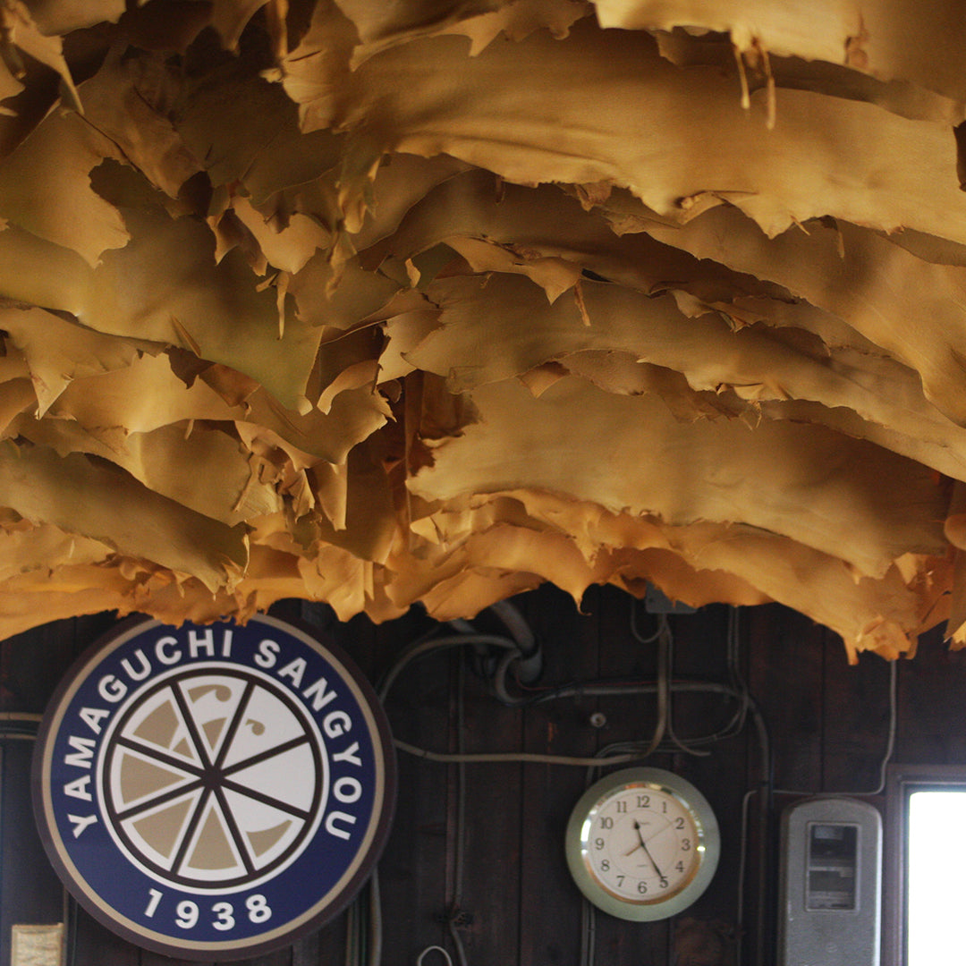 ［sonor］ARAI CORON