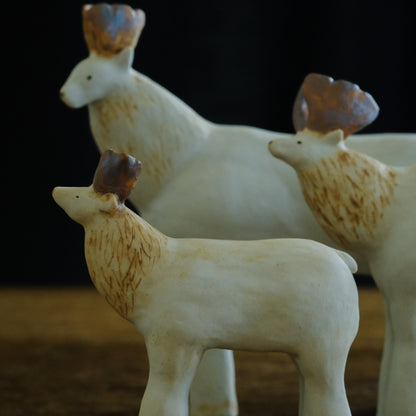 ［mahiru.］トナカイ