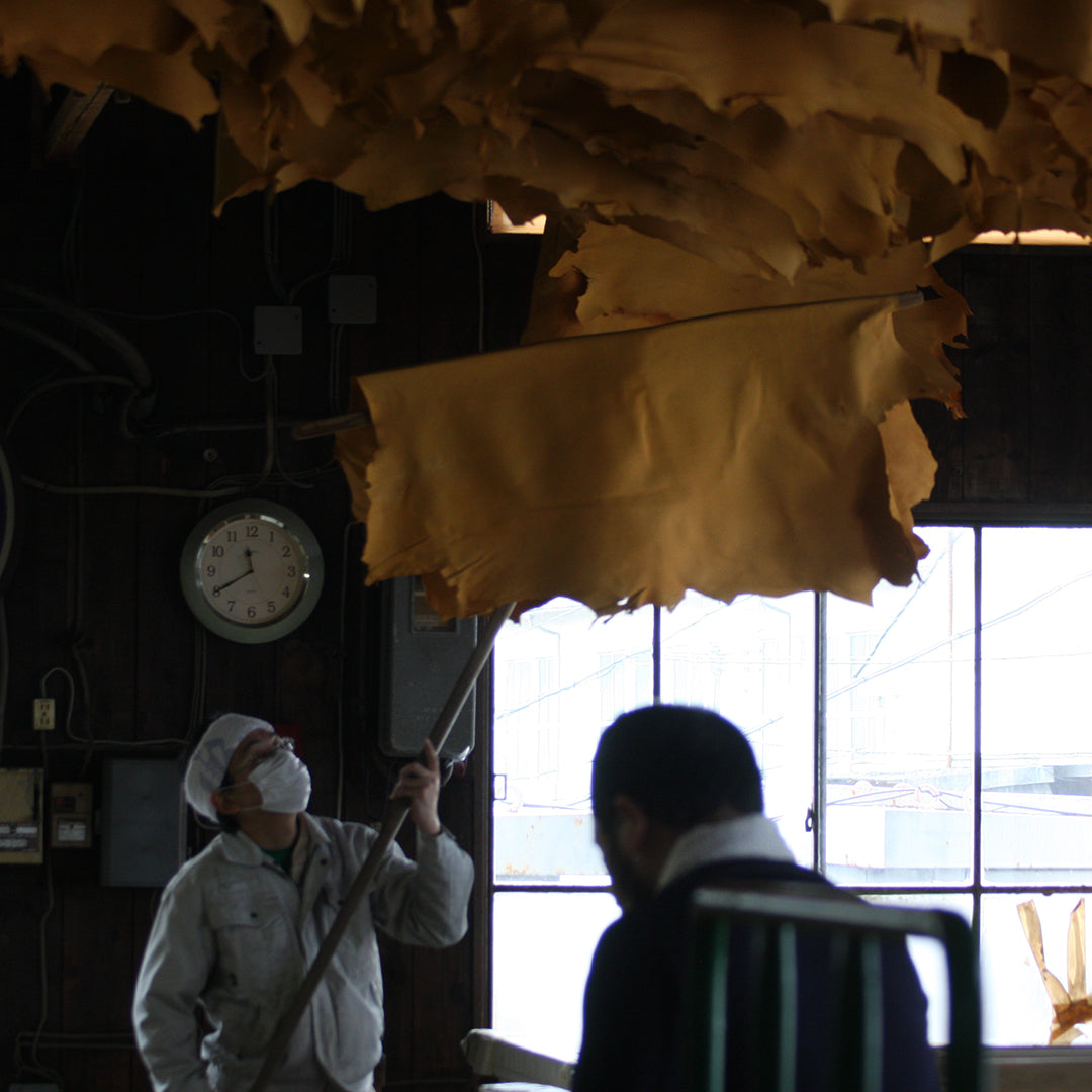 ［sonor］ARAI CORON