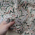 LIBERTY FABRICS　「 エンツォ・アントニオ 」グリーン