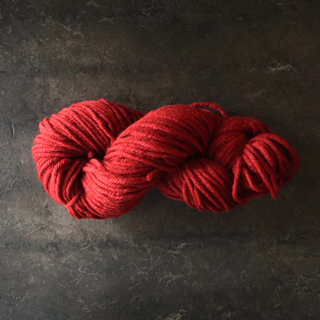 カラー　サングイン