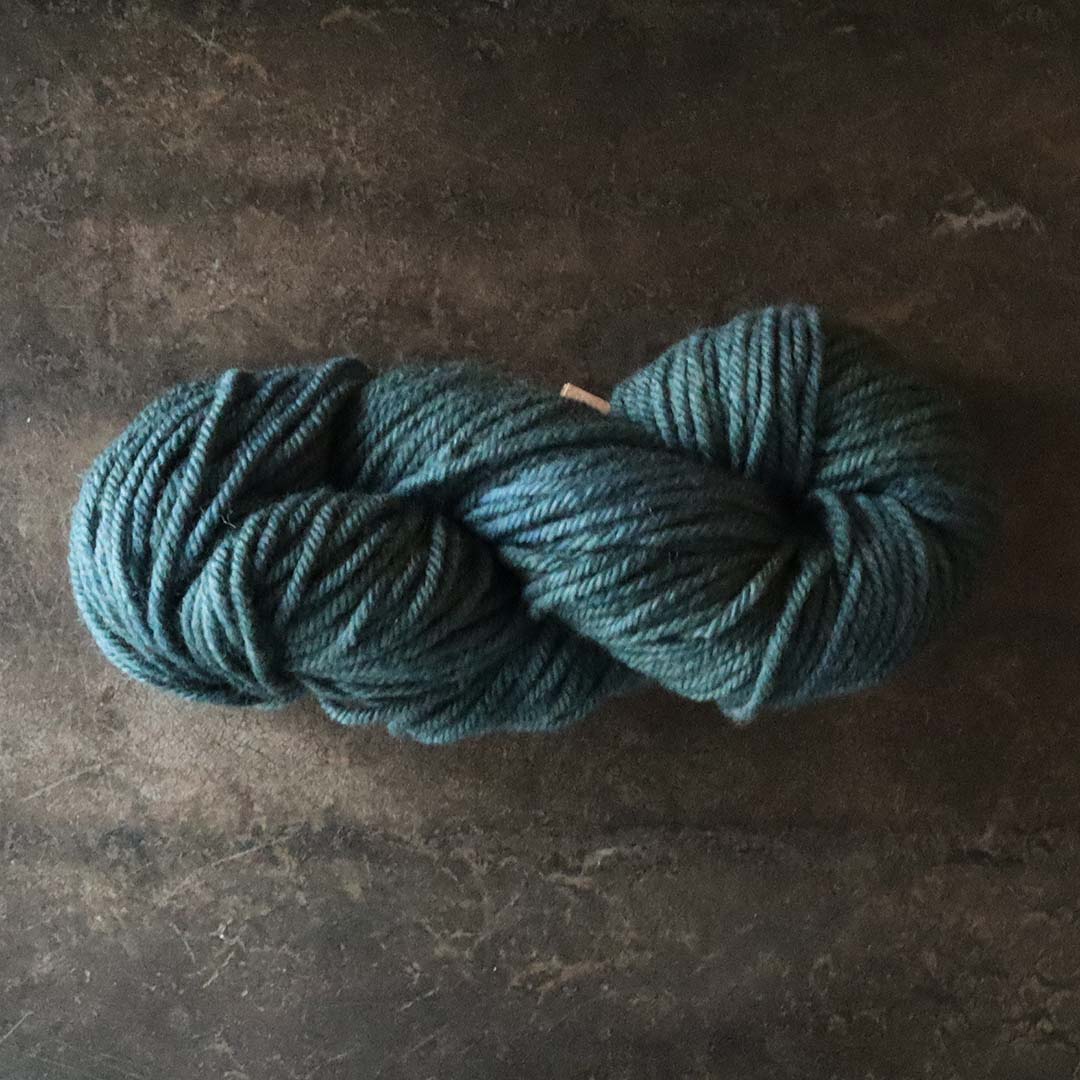 カラー　ノースシー