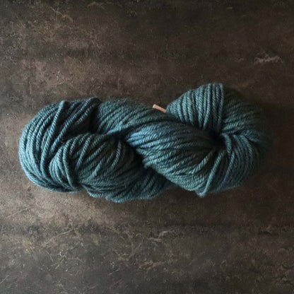 カラー　ノースシー