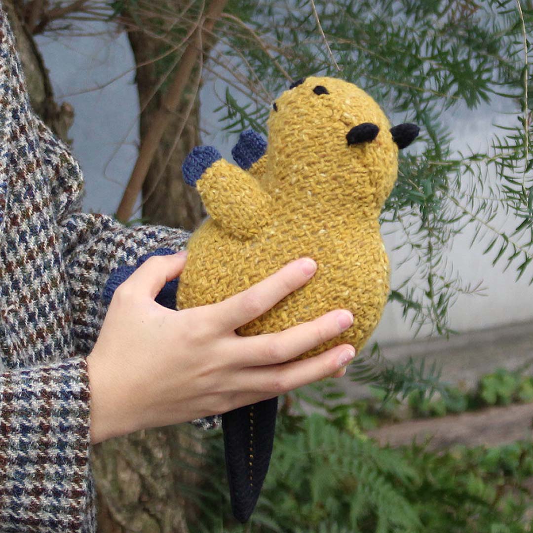 金森美也子×MOORIT 森のともだち ビーバーキット – Envelope