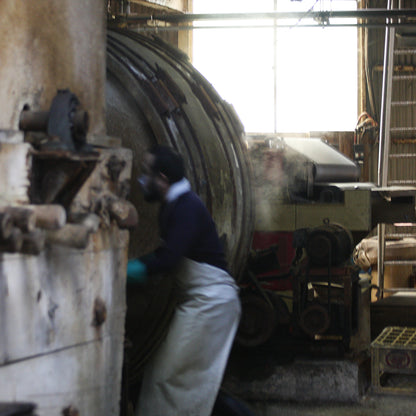 ［sonor］ARAI CORON