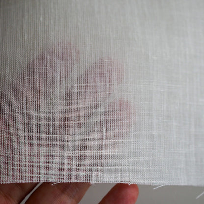 フィンセ　ホワイト（ルームステイト）