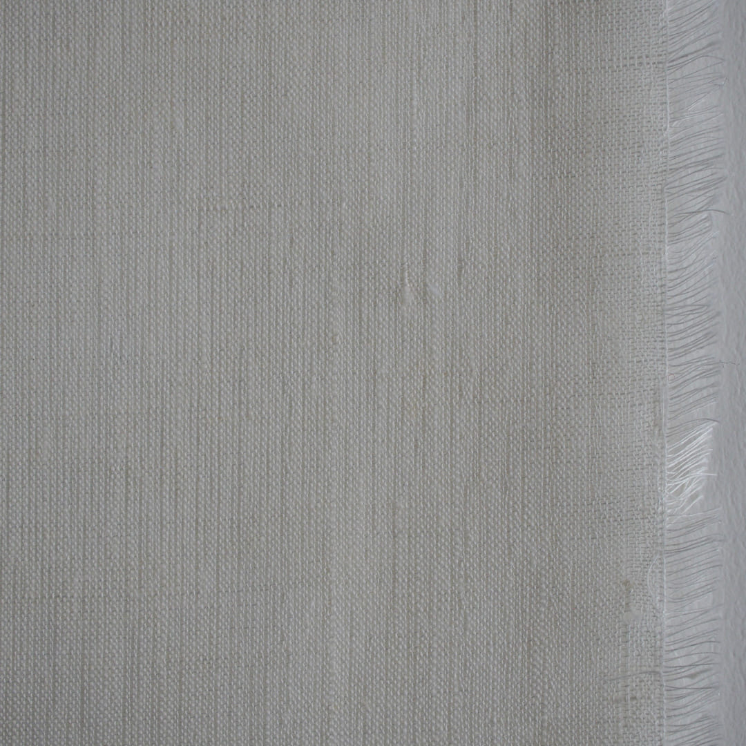 フィンセ　ホワイト（ルームステイト）