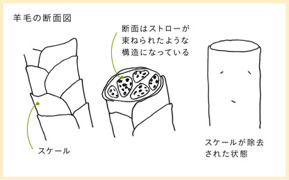［billerbeck］ ボゥルフ敷きふとん