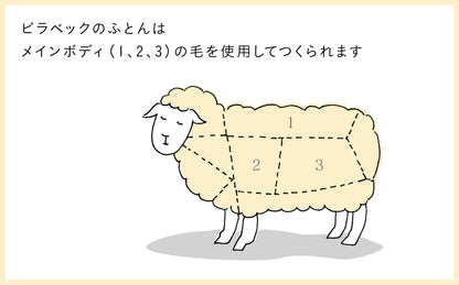 ［billerbeck］ ボゥルフ敷きふとん