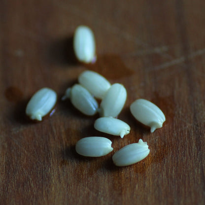 【生産者直送便】［まるざ発芽玄米研究所］あん入り発芽玄米もち