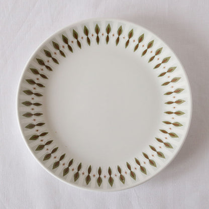 20cm