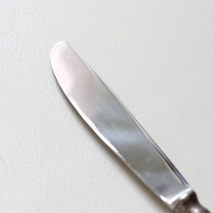 先端はステンレス素材で光沢があります