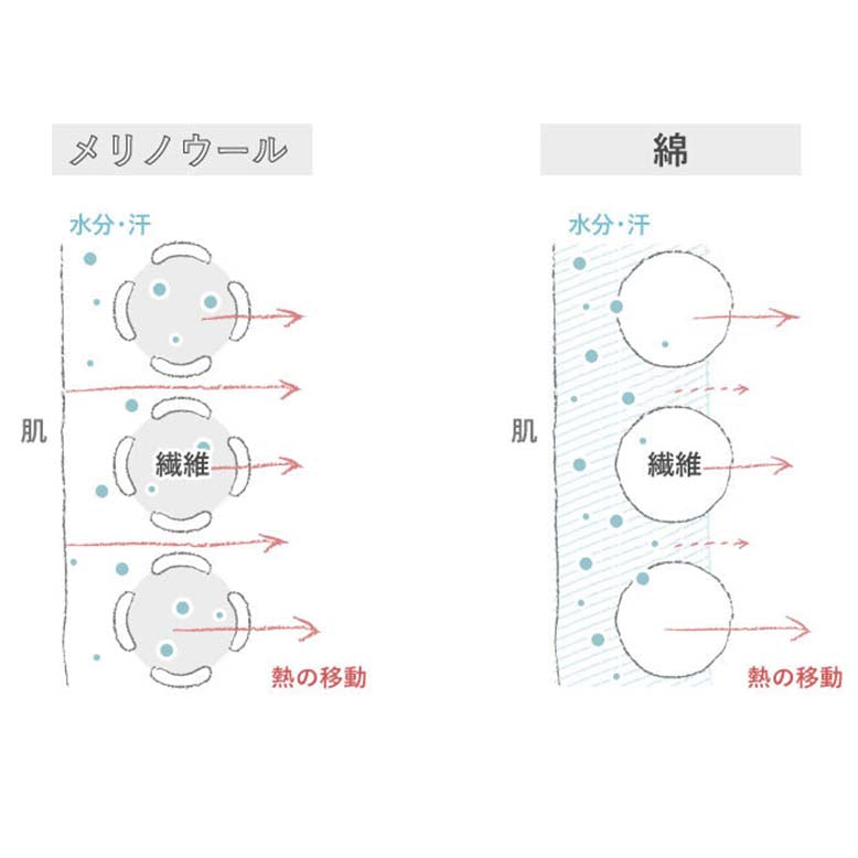 ［YARN］ファンテイル・ショートスリーブ